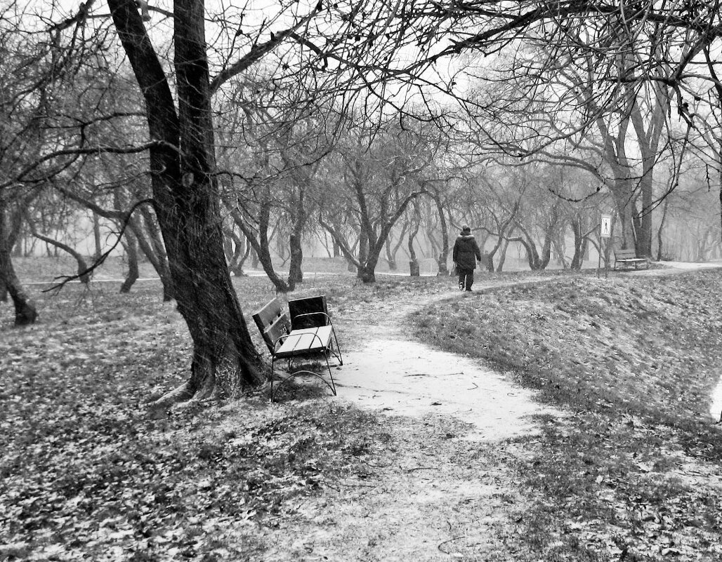 Первый снег. - Борис Бутцев Первый снег. - Борис Бутцев