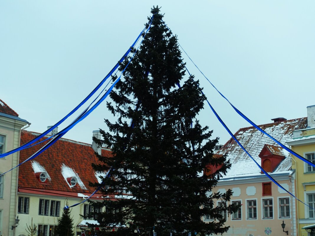 Ко Дню независимости Эстонии - Aida10 