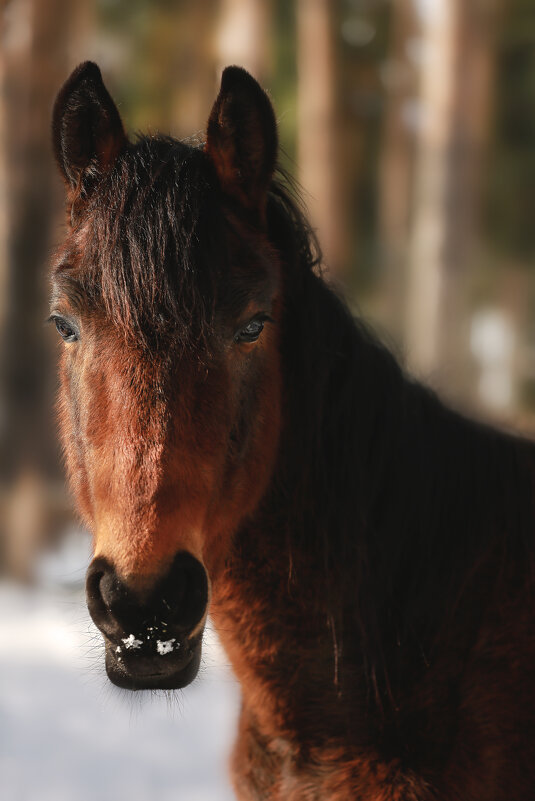 Вихрь - Кристина Щукина Вихрь - Кристина Щукина