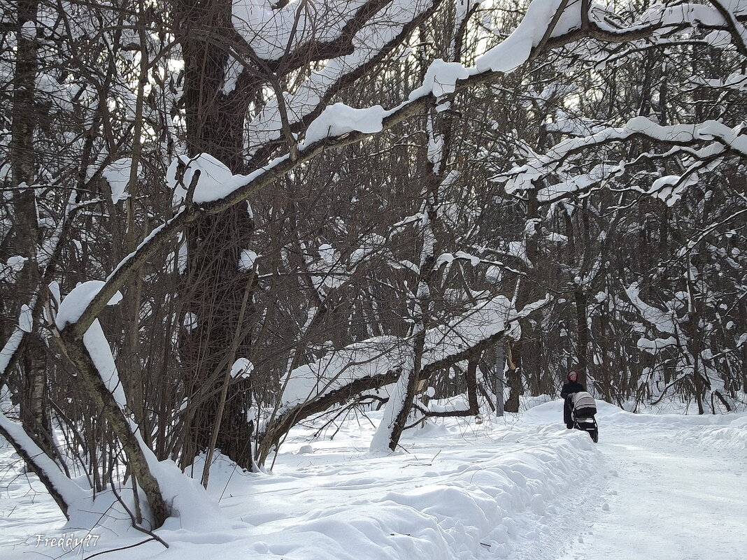 В парке - Freddy 97