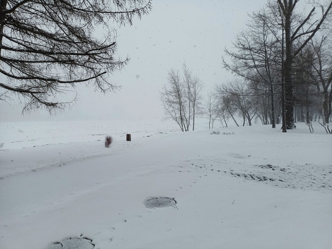 ЗИМНЕЕ - Виктор Никитенко