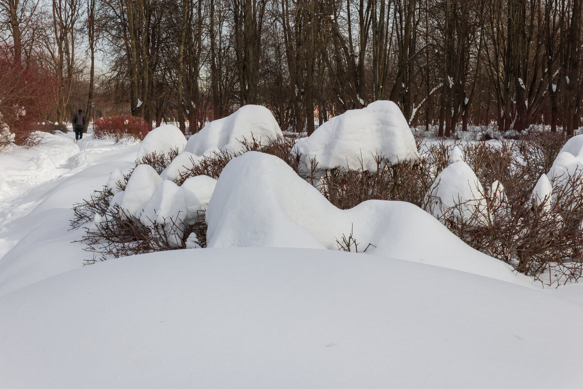 Парк "Кусково". Февраль. - Борис Калитенко