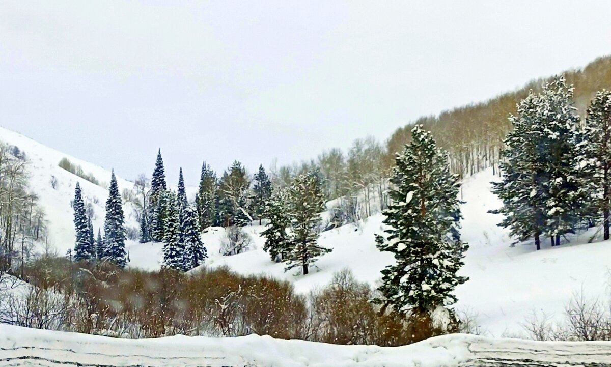 Незабываемые красоты ВКО . Метель . - Мила Бовкун Незабываемые красоты ВКО . Метель . - Мила Бовкун