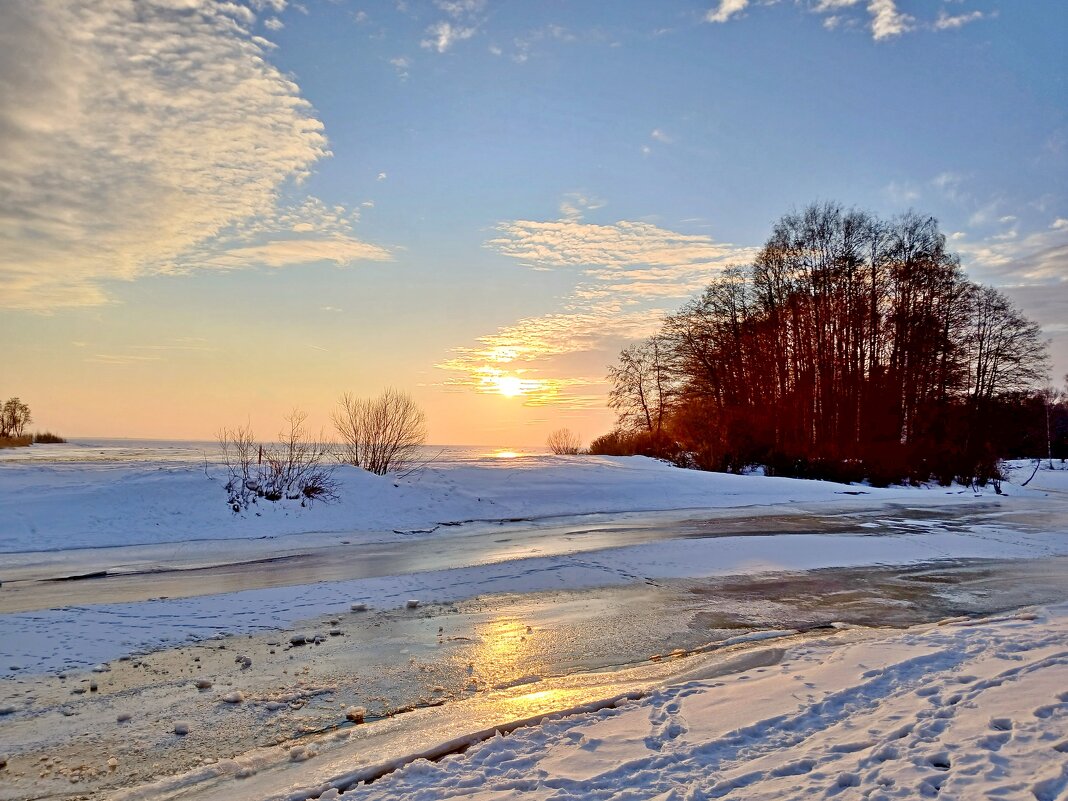 Зимнее солнце... - Лия ☼