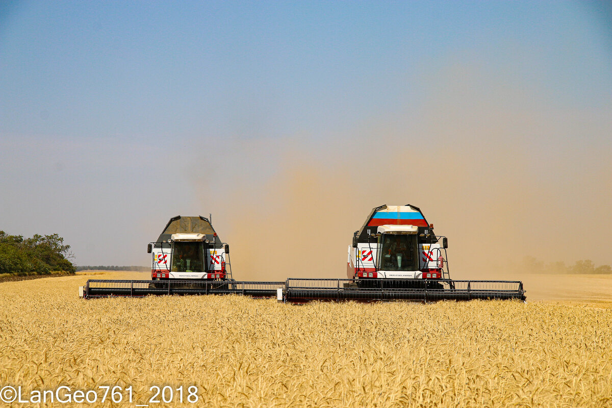 Торумы на уборке пшеницы. - Руслан Торумы на уборке пшеницы. - Руслан