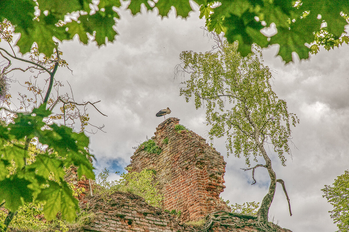 Ещё одни руины - Владимир Самсонов