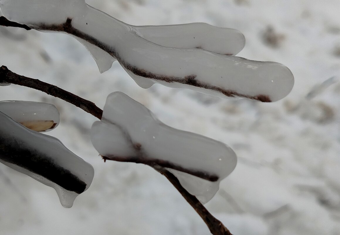 Во льду - светлана льдокова