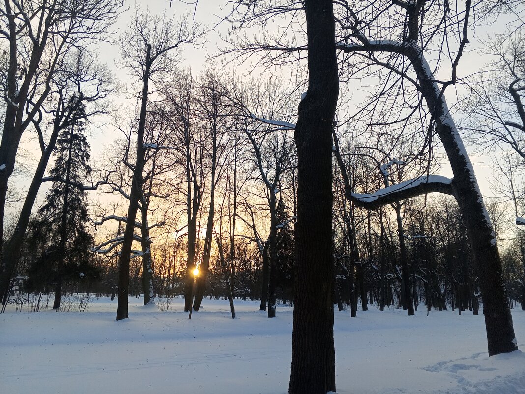 Закат - Сапсан 