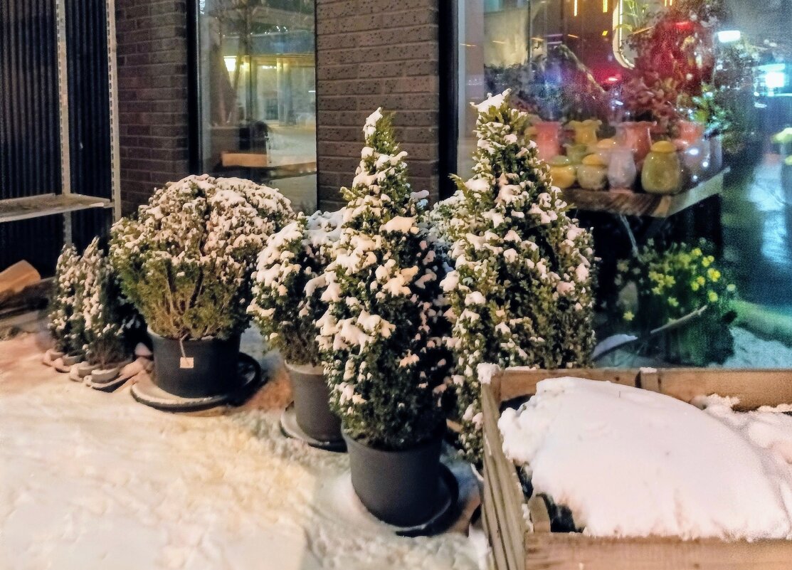 Вечерняя прогулка - Veera V Вечерняя прогулка - Veera V