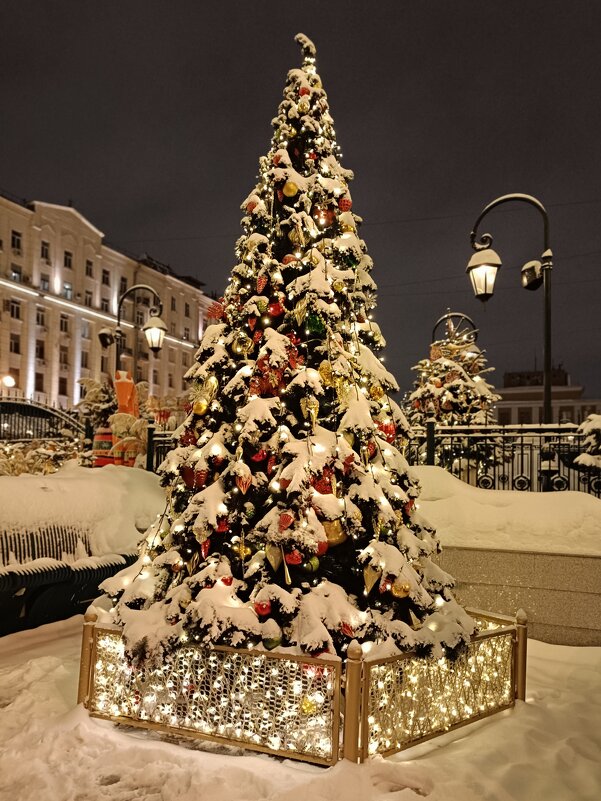 зима в Москве - Галина R...