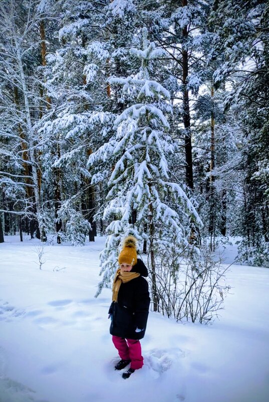 В снегах Каркаралов - Андрей Хлопонин
