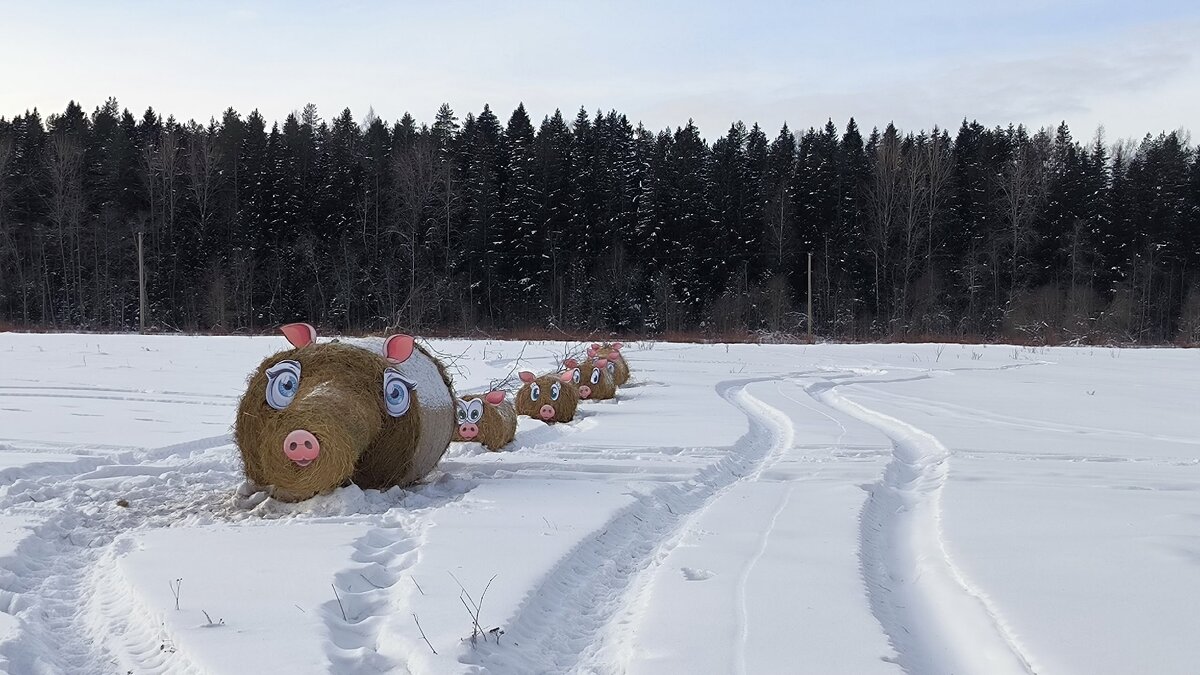Семейство кабанчиков. - Ольга 