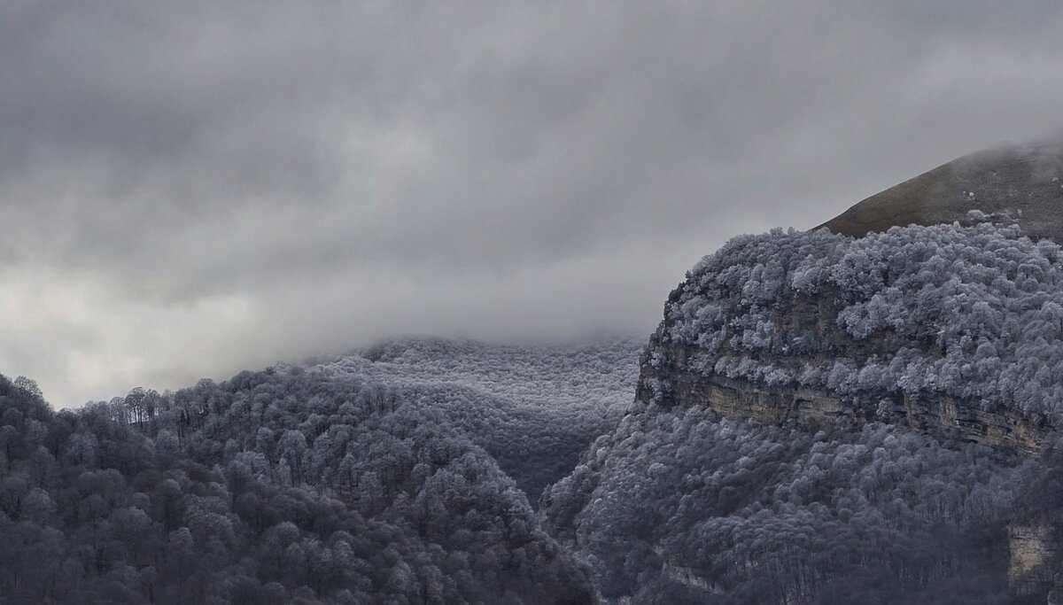 Заснеженные деревья на склонах гор - Мариша 