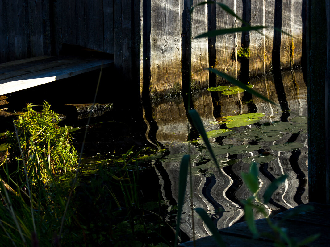 * - Сергей Полянский