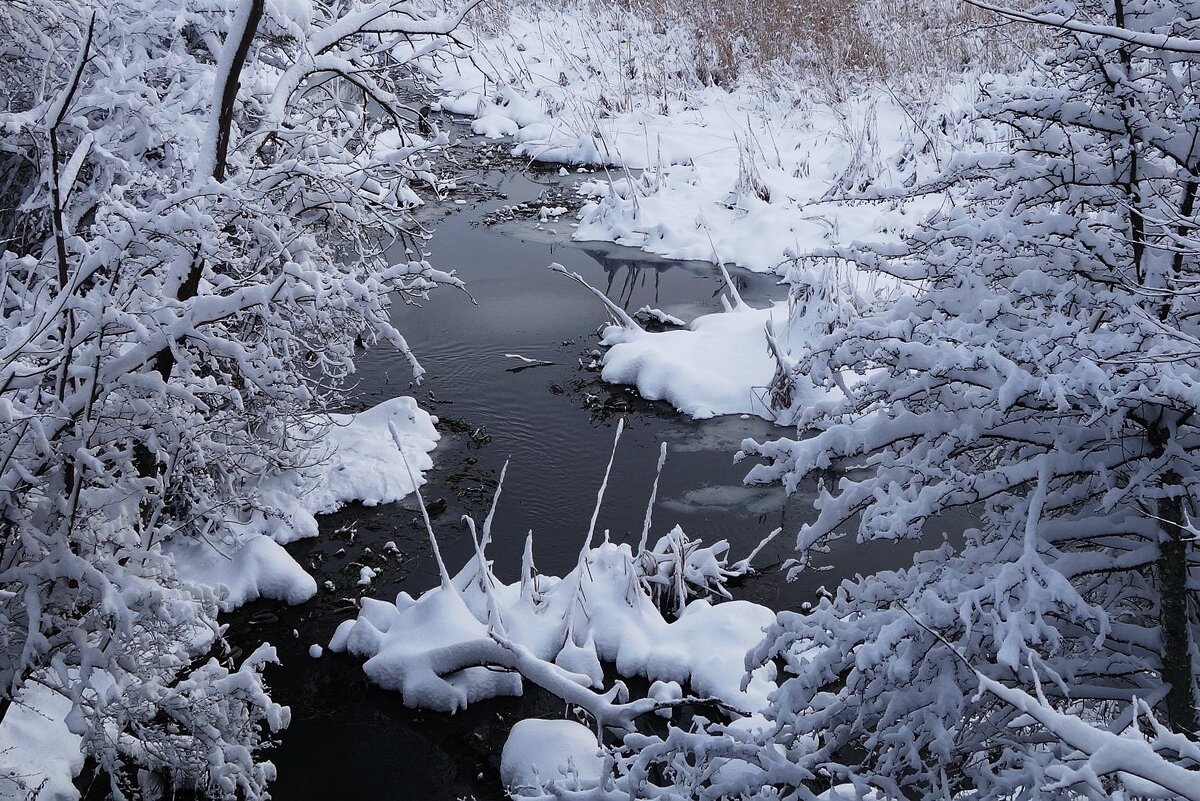 Волшебная зимняя пора - Рита Симонова