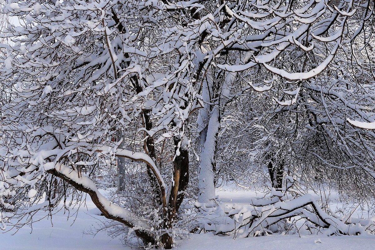 Волшебная зимняя пора - Рита Симонова