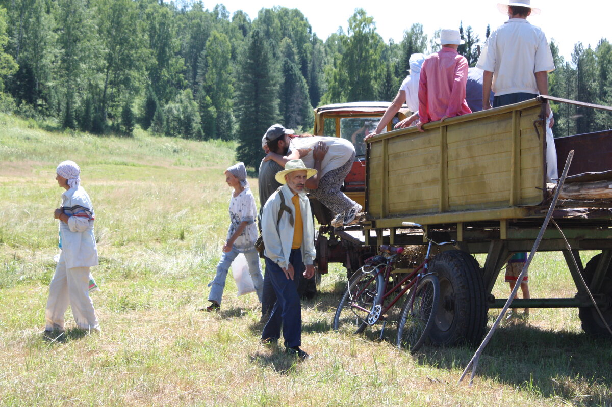 СЕНОКОС - Tata Wolf