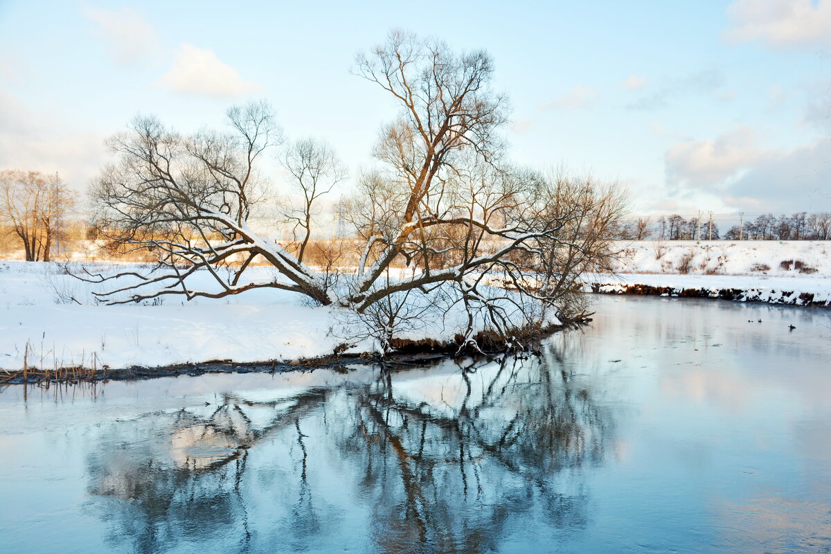 Зимнее утро - Леонид Иванчук