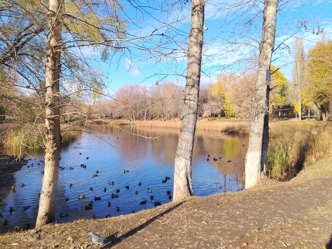 Осенний денёк - Надежда 