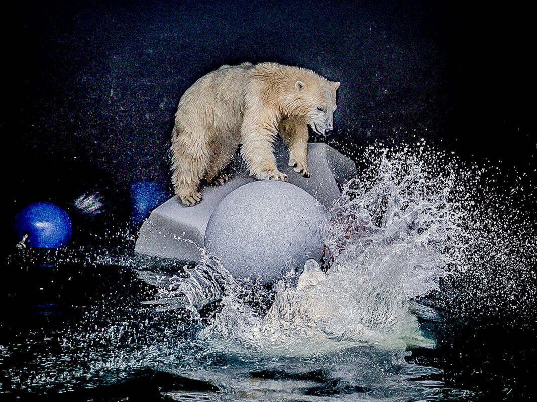 освоение льдины - Аркадий Лаптенко