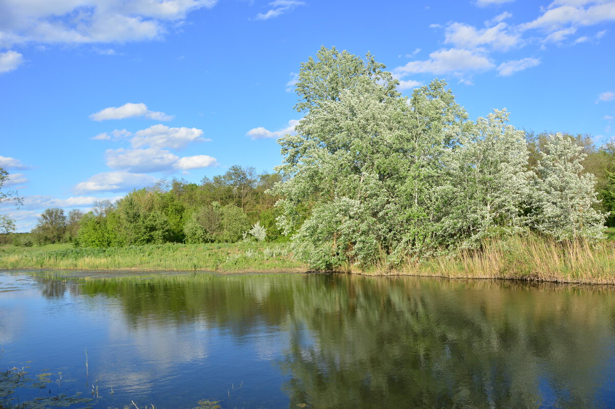 У реки. - Виктор 