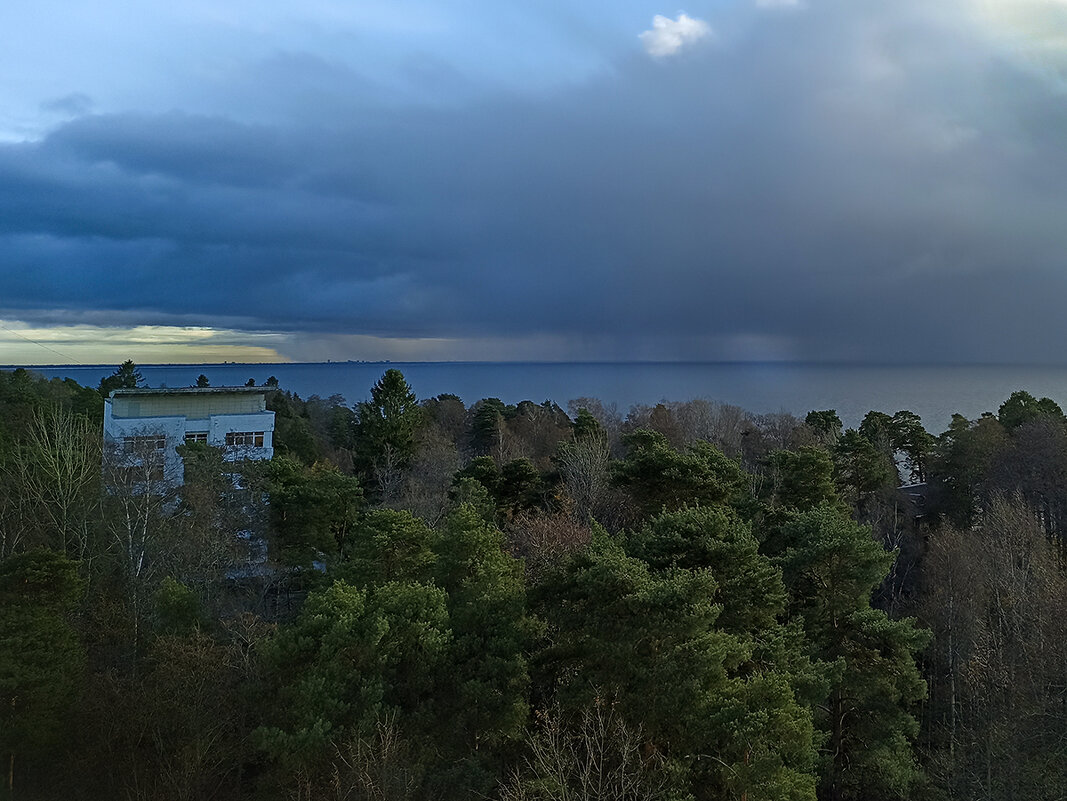 Дождливый рассвет. - Лилия *