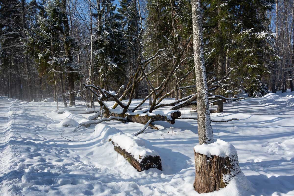 *** - Геннадий Порохов