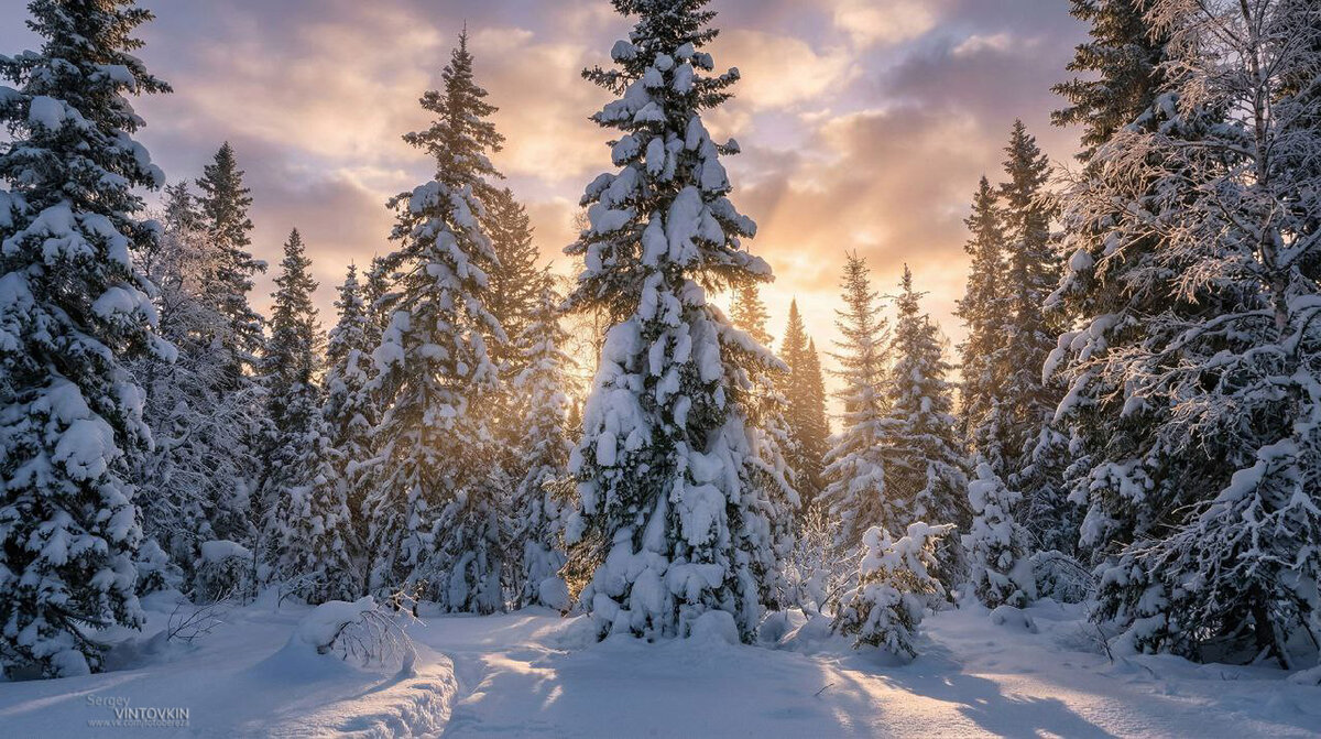 Закат над Сибирской тайгой - Сергей Винтовкин Закат над Сибирской тайгой - Сергей Винтовкин
