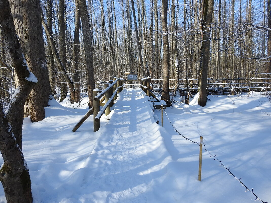 последние дни зимы - ИННА ПОРОХОВА последние дни зимы - ИННА ПОРОХОВА