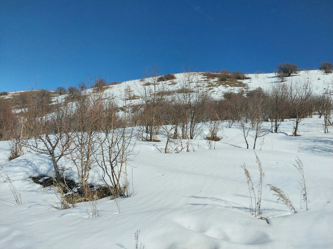 Ак Булак. - Murat Bukaev 