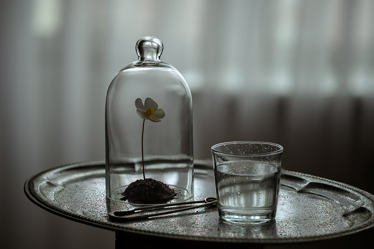 Пасмурным днём - Кулишев Николай 