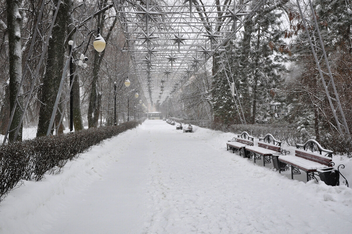 Зимний сон - Татьяна Машошина