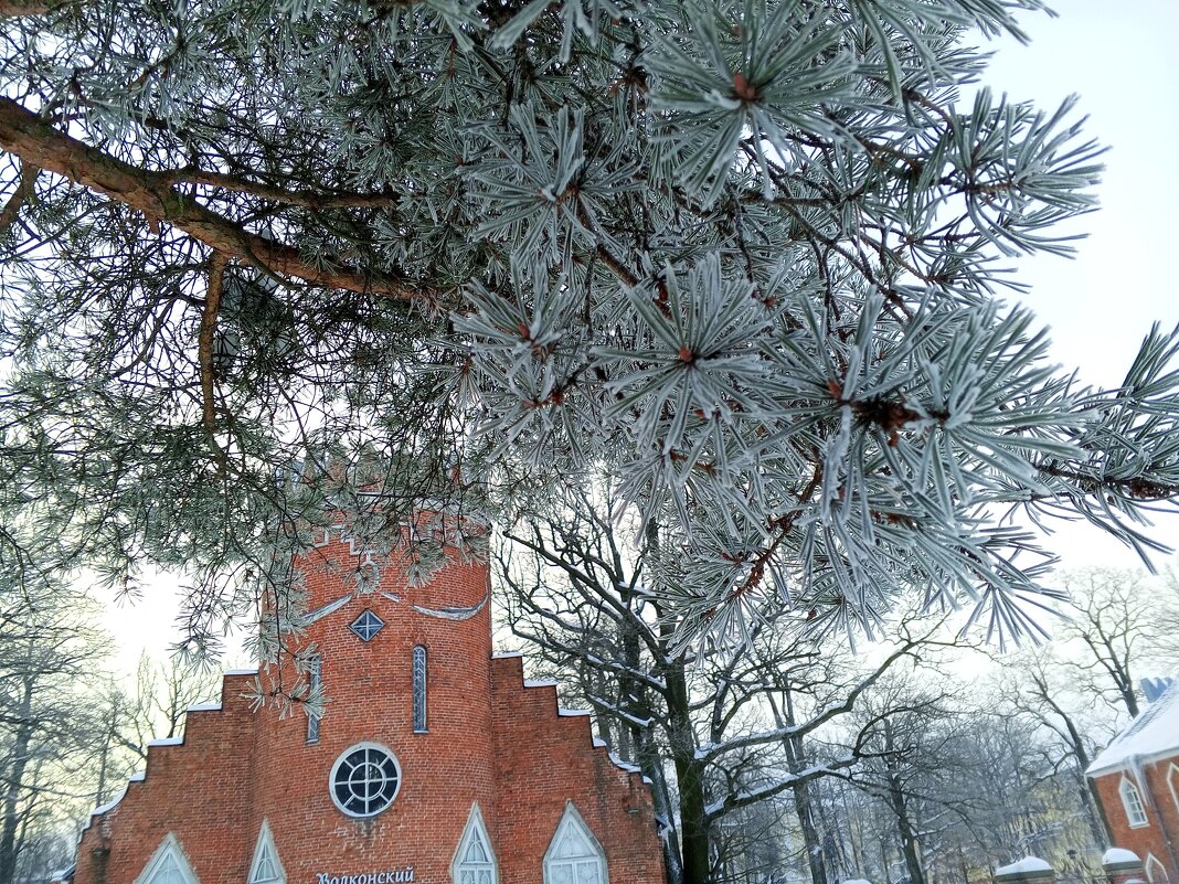 Изморозь - Сапсан 