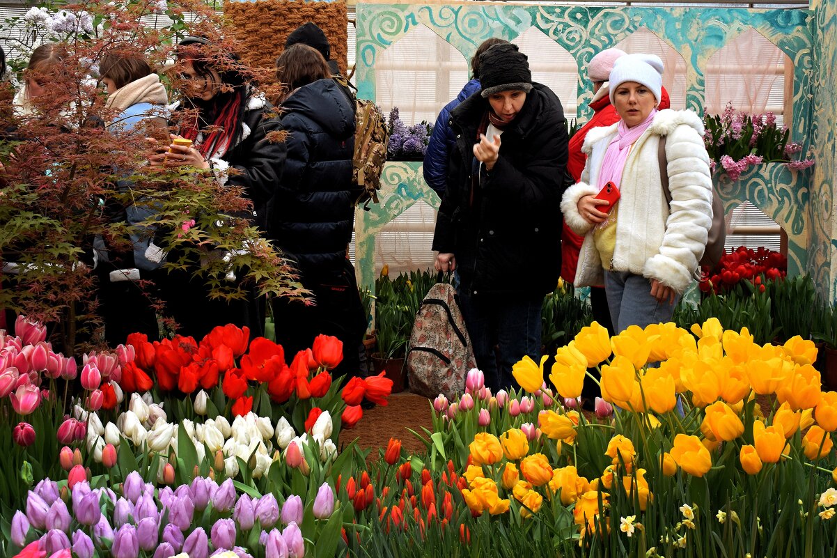 Весна в Аптекарском огороде. - Татьяна Помогалова Весна в Аптекарском огороде. - Татьяна Помогалова
