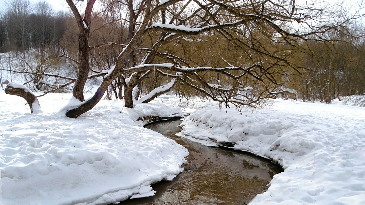 Природа в конце зимы. - Милешкин Владимир Алексеевич Природа в конце зимы. - Милешкин Владимир Алексеевич