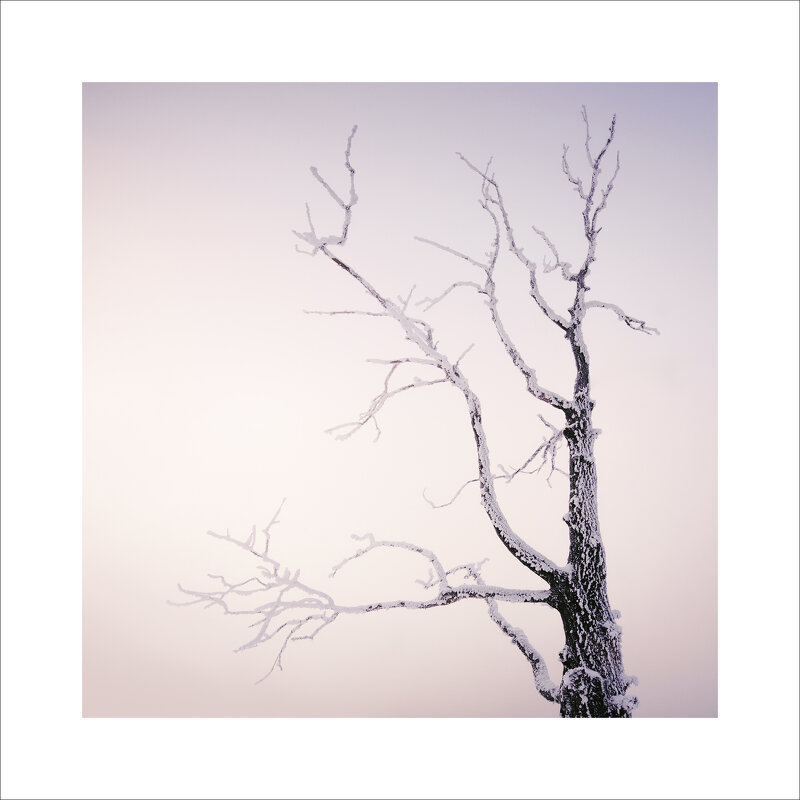 * - Александр Иванов