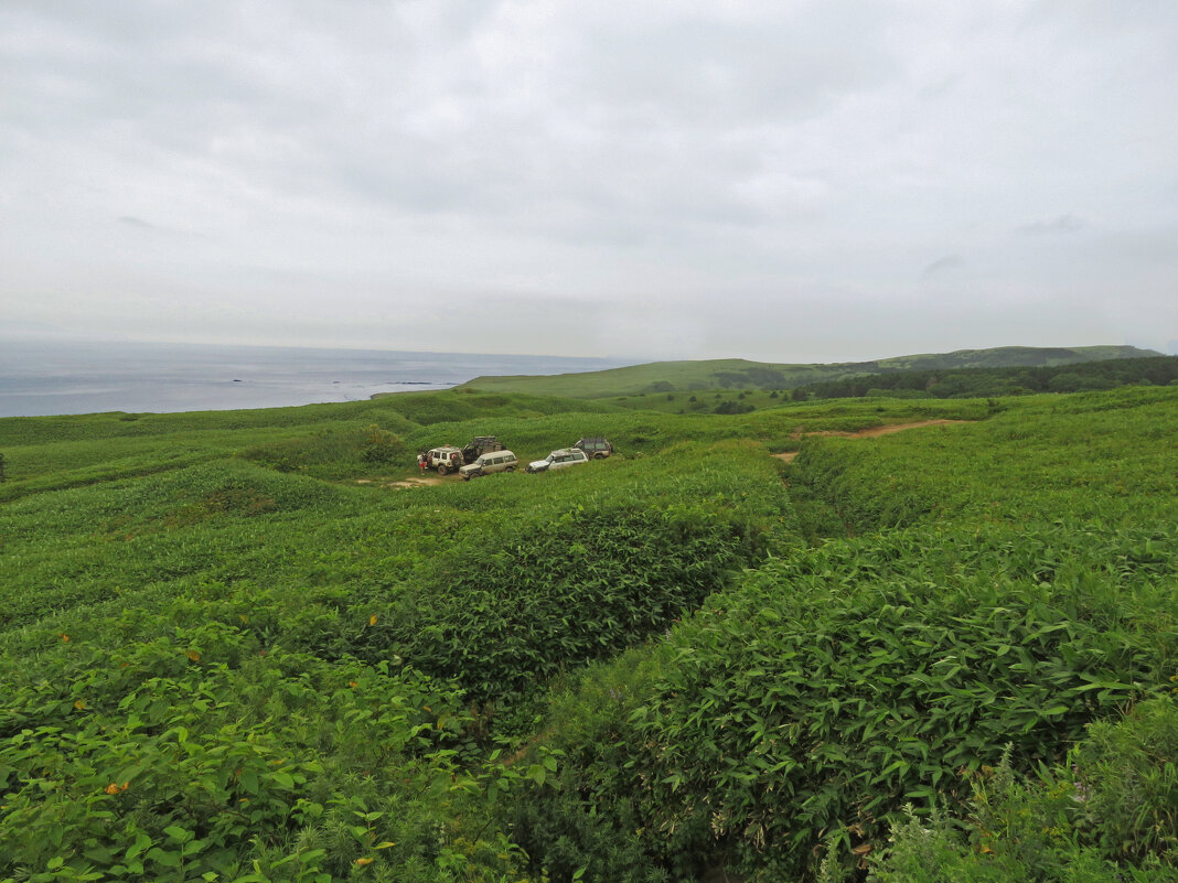 Вид с мыса Кузнецова - ИРЭН@ .