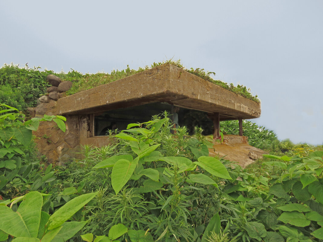 Японский ДОТ за мысом Кузнецова. Сахалин. - ИРЭН@ .