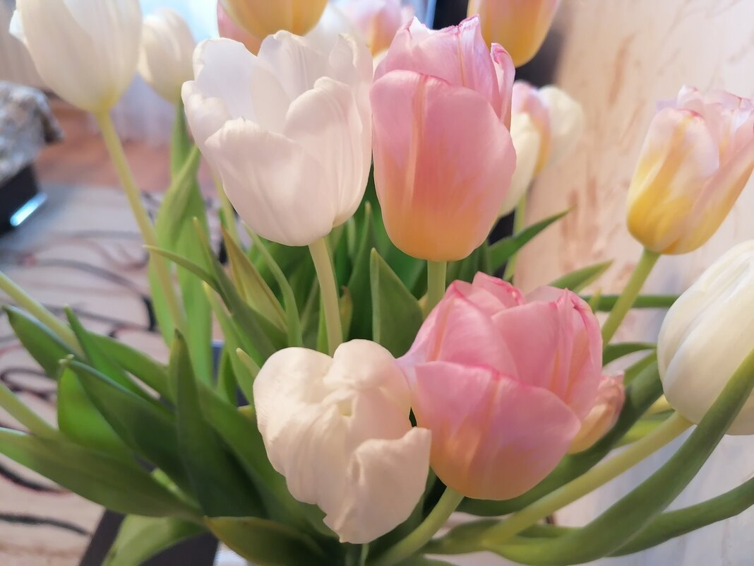 ,,, - Сергей Тимоновский ,,, - Сергей Тимоновский