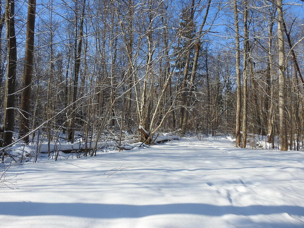 зимние пейзажи - ИННА ПОРОХОВА