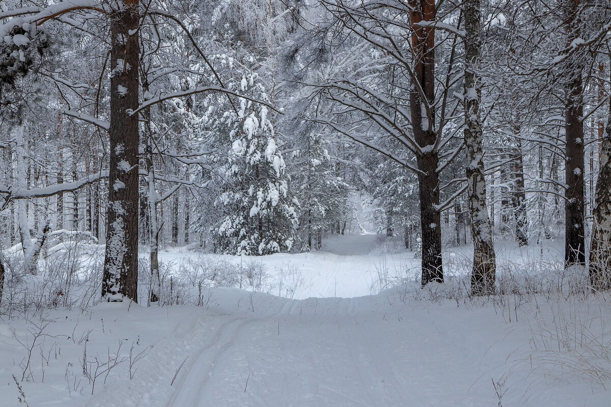 *** - Андрей Дурапов