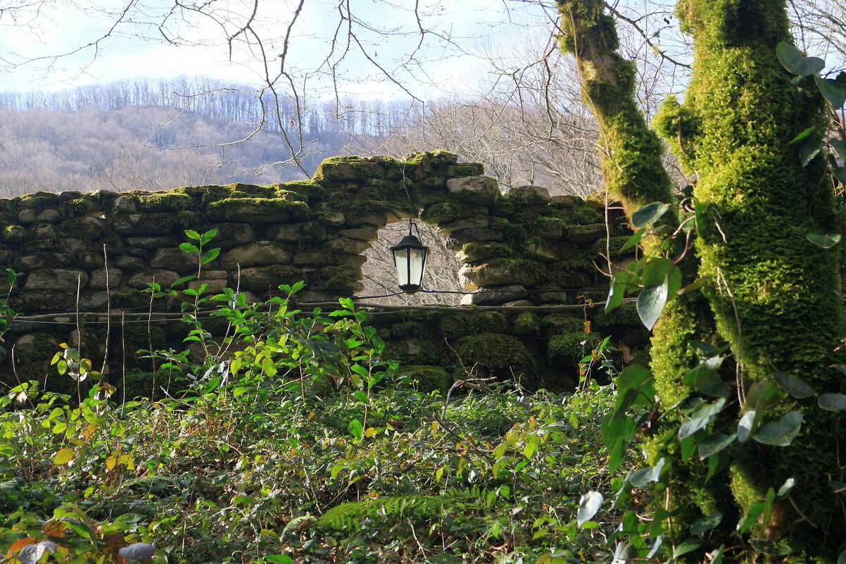 Фото мимоходом - Мишель71 Фото мимоходом - Мишель71