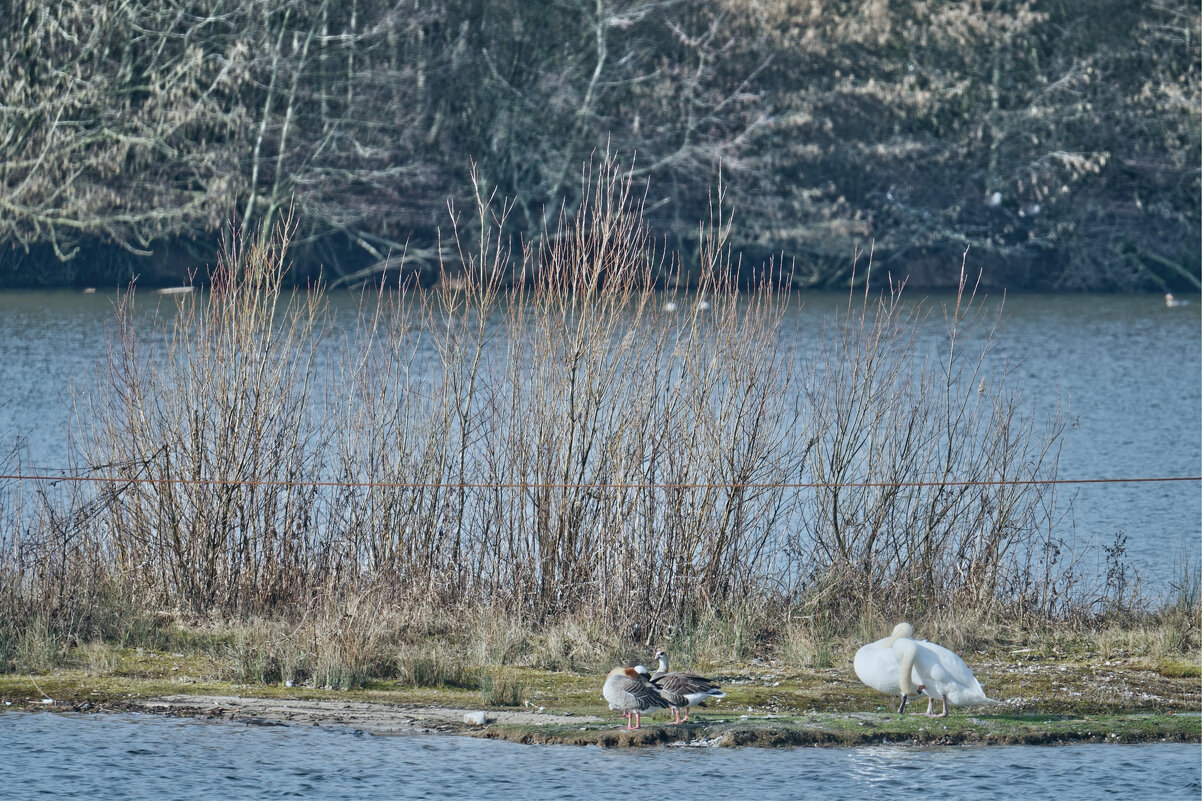 Озеро Липпа - Jakob Dick Озеро Липпа - Jakob Dick