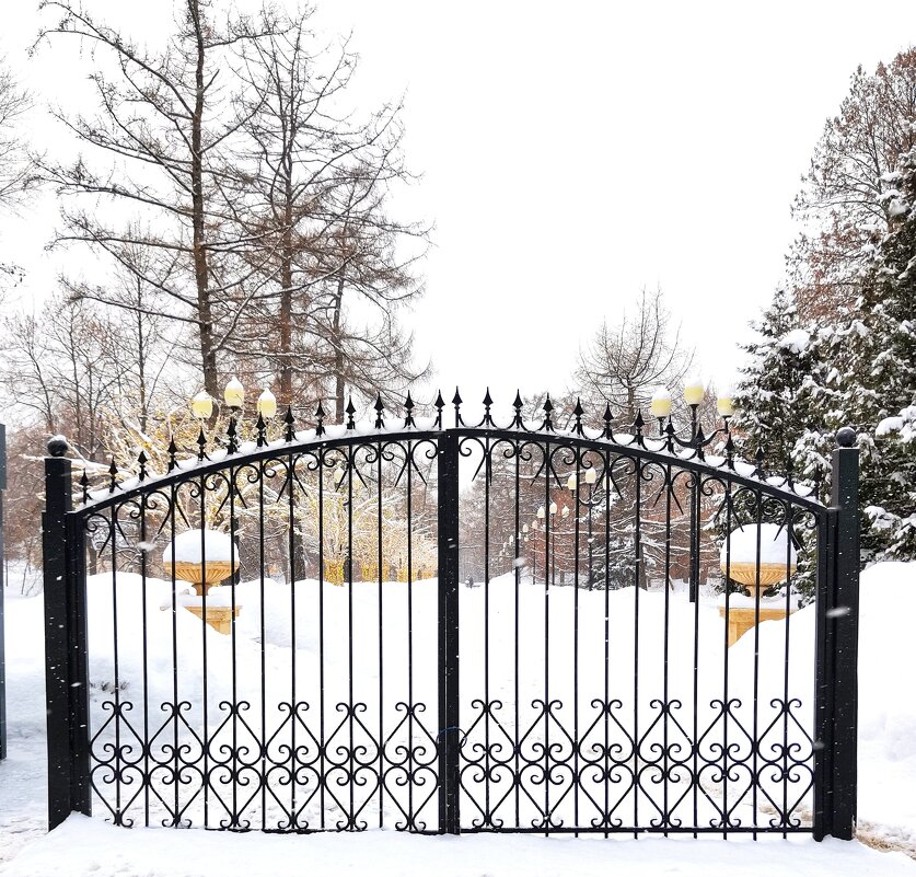 Симметрия - Любимова Ольга 