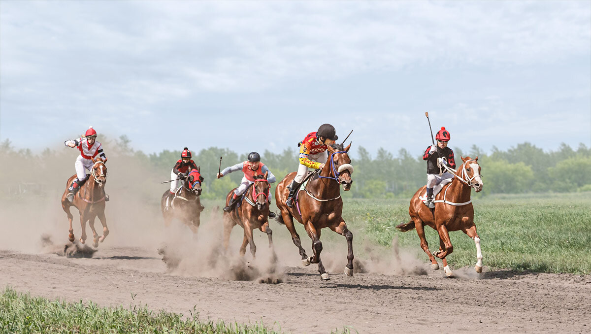 Скачки - SanSan 