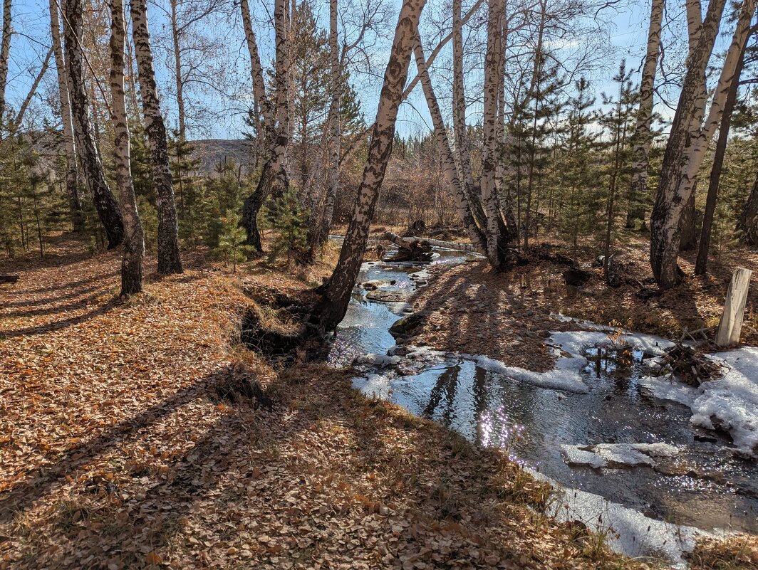 Тихая речка - Андрей Хлопонин