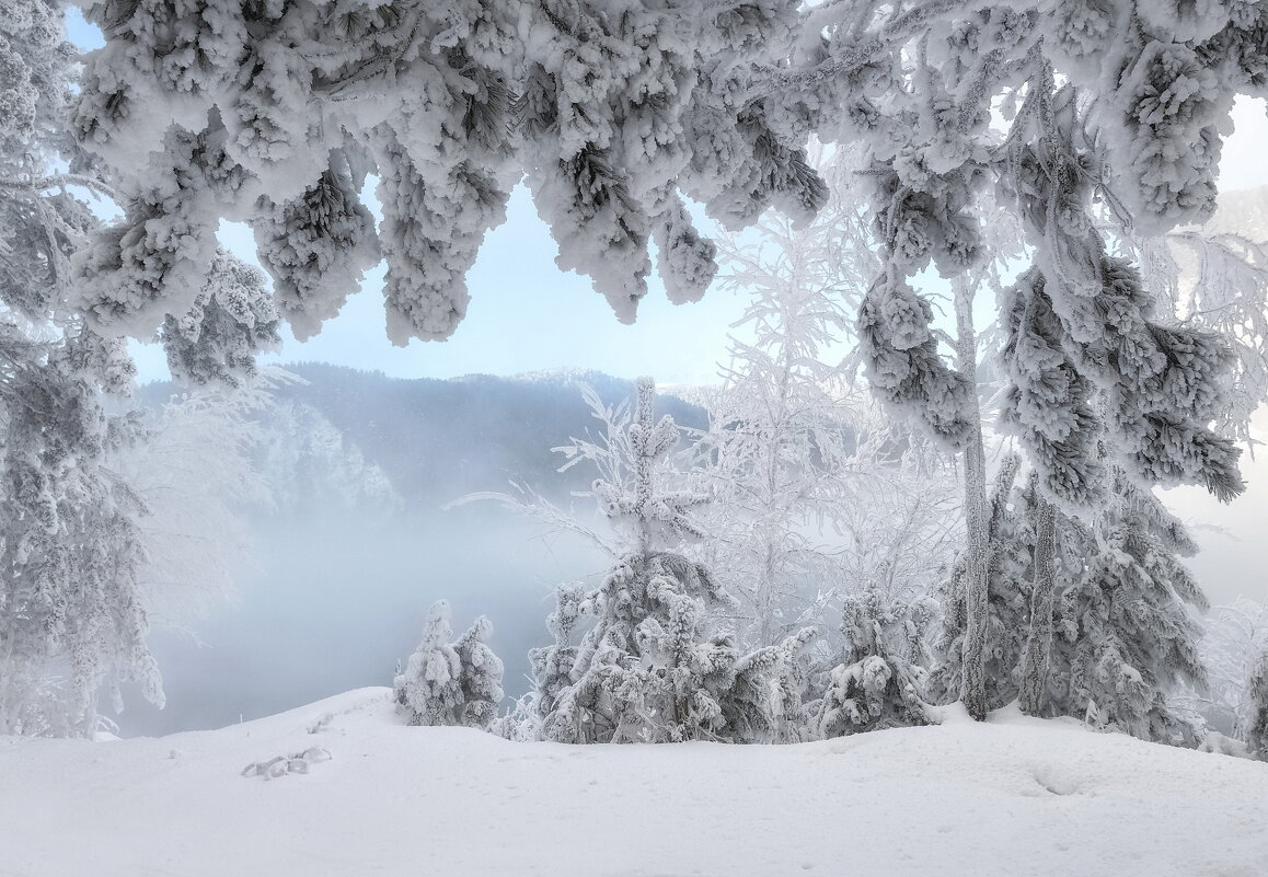 Занавес - Марина Фомина.