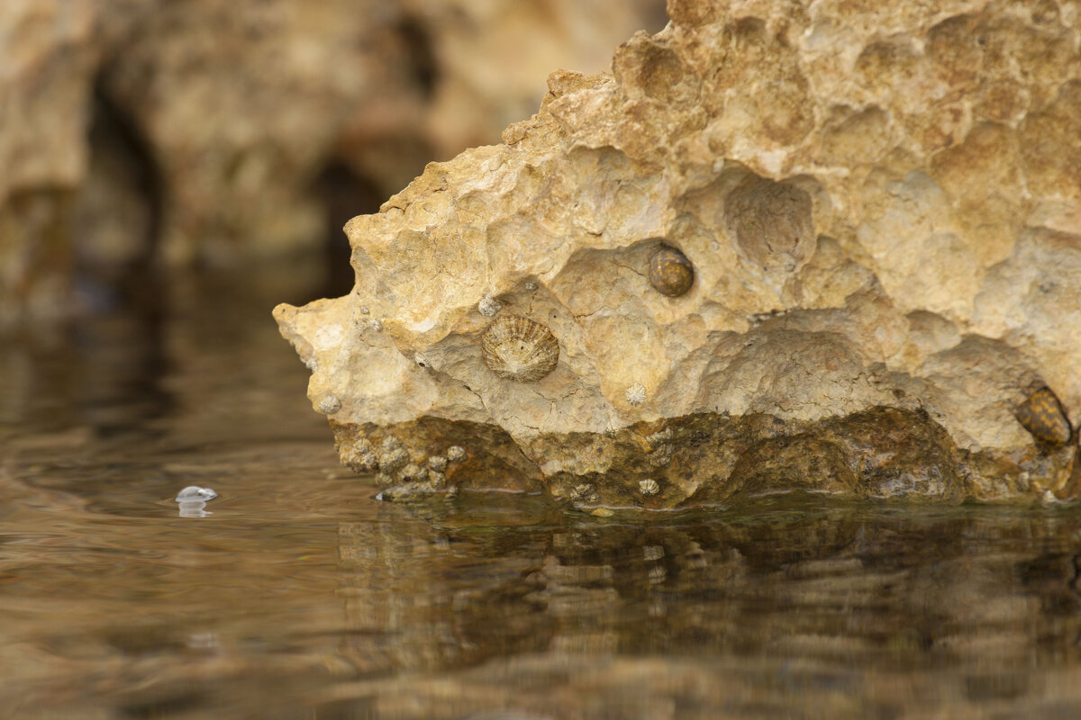 Красивое - Олег Денисов