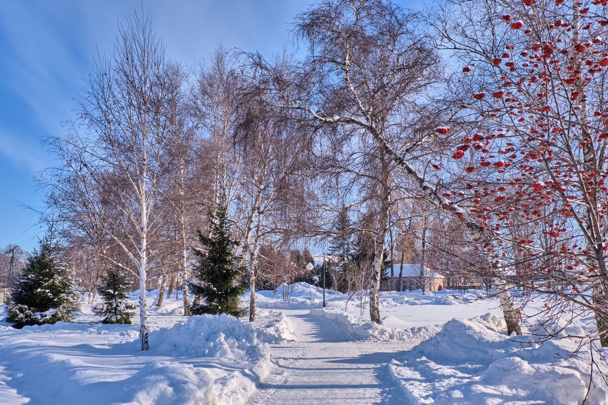 Мороз и солнце ..... - Ravile 