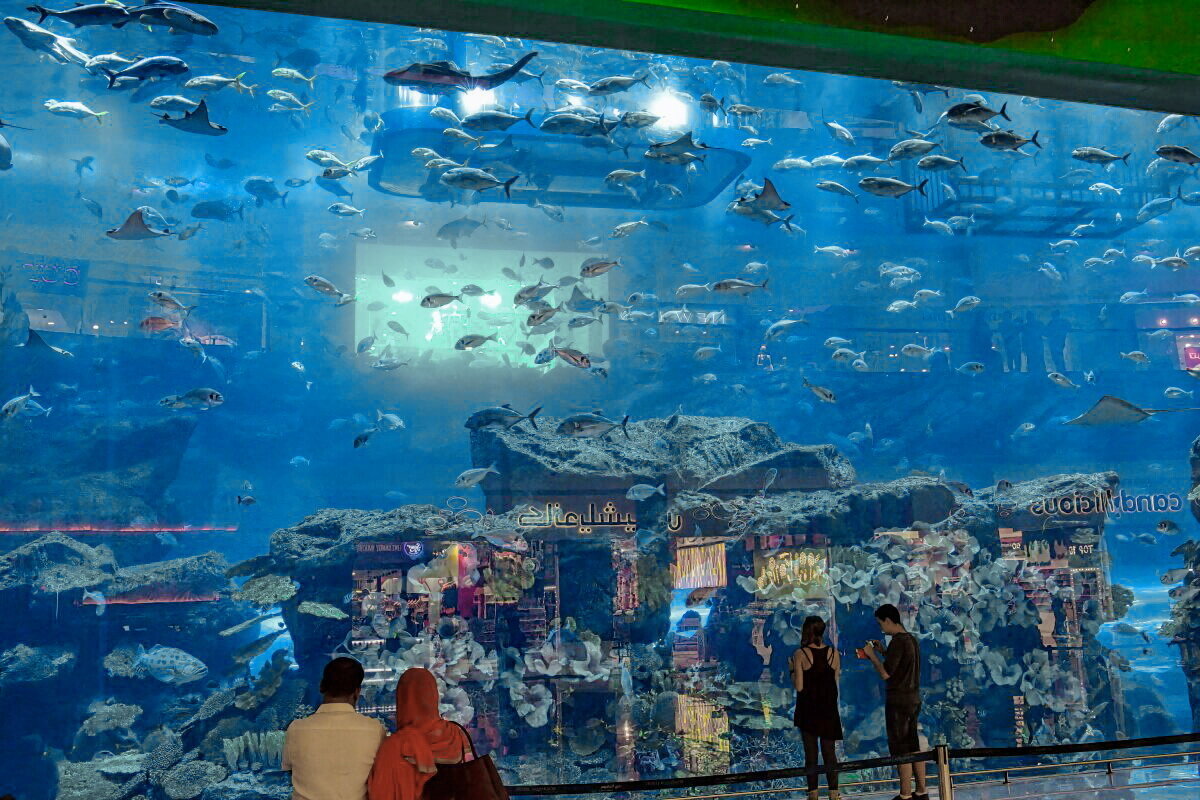 UAE 5 - Arturs Ancans